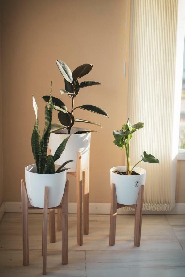Cala Hotel Boutique San Luis Eksteriør billede